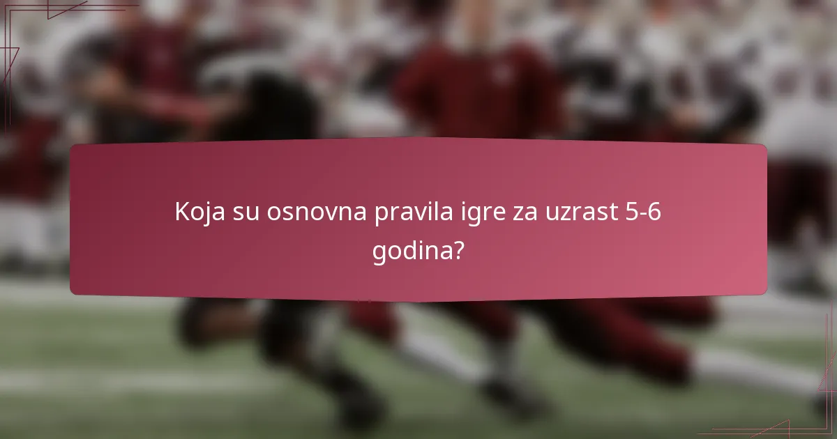 Koja su osnovna pravila igre za uzrast 5-6 godina?